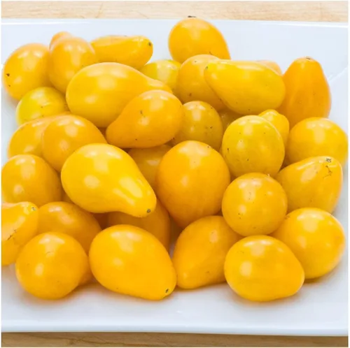 Vista 2 de everwilde explotaciones – Orgánico amarillo pera Tomate Semillas de producción – Oro Vault Packet