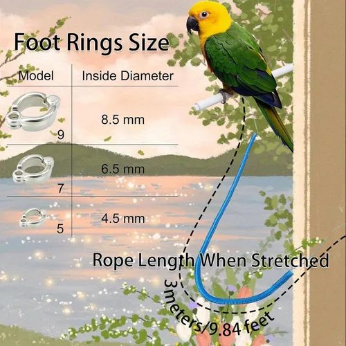 Vista 2 de Correa de pájaro, arnés de loro antimordeduras, cuerda retráctil para pájaros voladores con 3 piezas de diferentes tamaños de anillos para pies