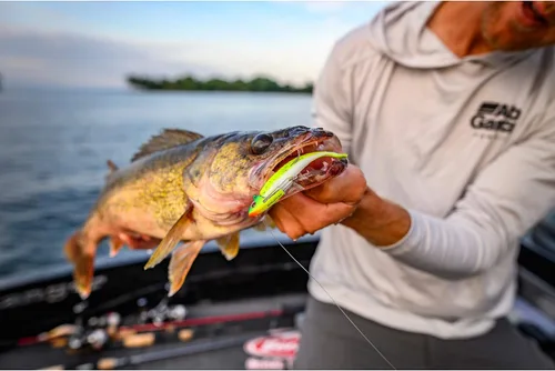 Vista 2 de ¡Berkley Gulp! Cebo suave de pesca de pececillos vivos