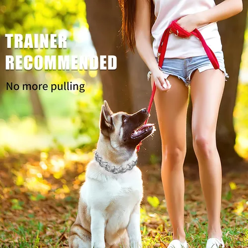 Vista 6 de Collar de entrenamiento para perros con puntas curvadas con anillo giratorio ajustable