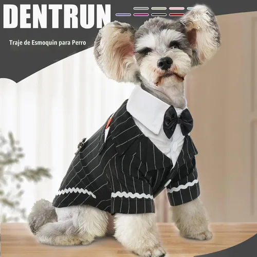 Vista 2 de DENTRUN - Traje de esmoquin para perro con corbatín - Camisa formal de disfraz para mascotas a rayas en negro y blanco, elegante atuendo de boda