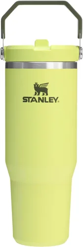 Vista 98 de STANLEY IceFlow 2.0 - Vaso con pajilla abatible con asa, 30 onzas, tapa giratoria y popote abatible, botella de agua a prueba de fugas, acero Tiza
