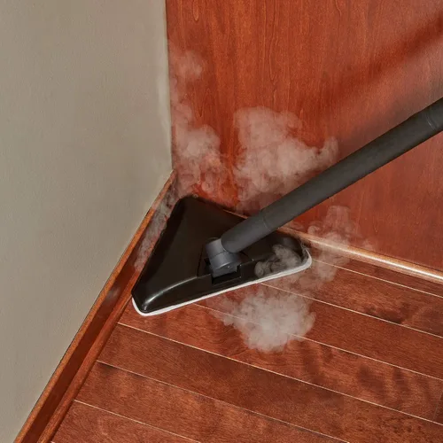 Vista 3 de Wagner Spraytech - Cabezal de trapeador de vapor triangular