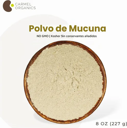 Vista 7 de CARMEL ORGANICS Mucuna Pruriens Semillas Naturales (Blancas) en Polvo 8 Onzas o 0.5 Lb/227 Gramos Sin GMO Kosher Polvo de Kapikachhu Sin