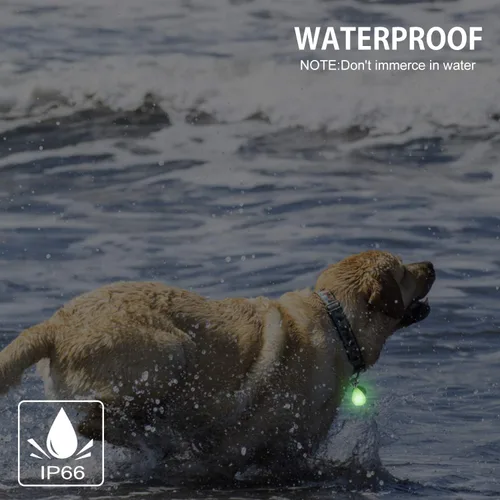Vista 6 de Paquete de 2 luces recargables para perros, luz para collar de perro, impermeable, luces de seguridad LED para perros con 3 modos, múltiples