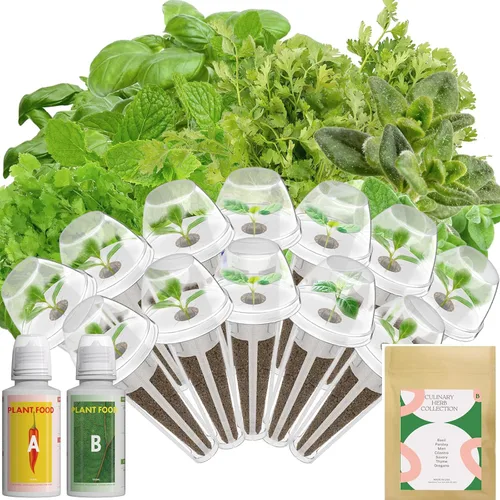Vista 8 de Kit de semillas de hierbas hidropónicas inbloom para AeroGarden, iDoo, Ahopegarden, GARDENCUBE, 7 vainas