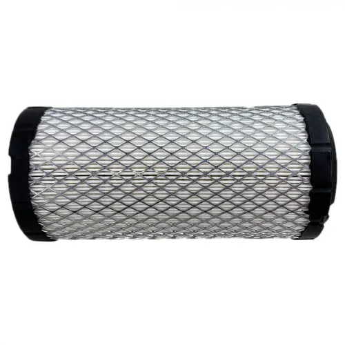 Vista 2 de E-SP119059 - Filtro de aire primario para Thermo King