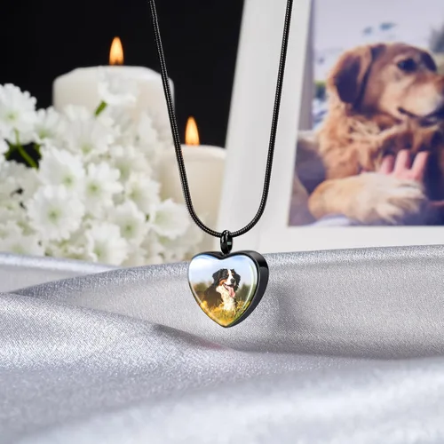 Vista 5 de Fanery Sue Collar para cenizas de mascotas, joyería de cremación, imagen personalizada y cita, regalos conmemorativos por pérdida de perro/gato