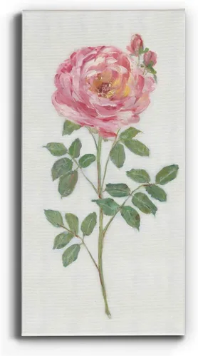 Vista 11 de Renditions Gallery Master Botanical II - Arte de pared, decoración en lienzo de alta calidad con envoltura de galería, listo para colgar, 16