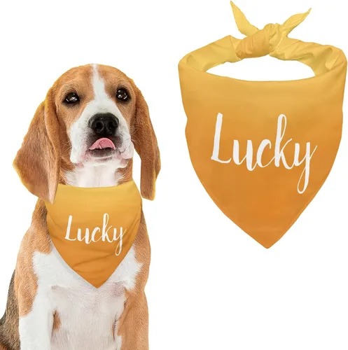 Vista 15 de Bandana personalizada para perro con nombre de poliéster, bandana personalizada para perro, triángulo, bufanda personalizada para mascotas