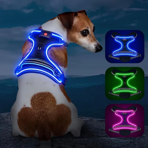 Vista 7 de Arnés para perro iluminado con batería pequeño
