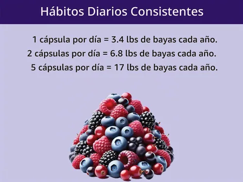 Vista 5 de KOYAH - Cápsulas de mezcla de bayas orgánicas, liofilizadas: 60 cápsulas