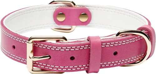 Vista 10 de Collar de perro de cuero genuino, collar de perro resistente para perros pequeños, medianos, grandes y extra grandes