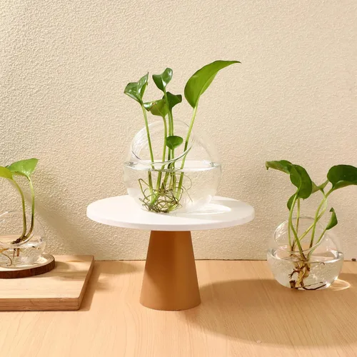 Vista 5 de Zerodeko 3 piezas de terrario de vidrio globo tazón terrario floral contenedor de burbujas transparentes plantador hidroponía maceta de vidrio