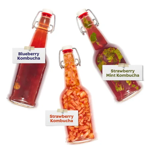Vista 5 de Kit de iniciación Jun Kombucha de 1 galón – Incluye USDA Organic Jun SCOBY & Starter Tea + ingredientes para empezar a preparar tu propio té jun. *