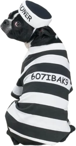 Vista 2 de Disfraz canino de carcelero casual para mascota., XXL, Blanco y Negro