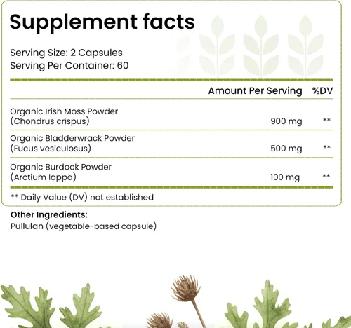 Vista 2 de HELLO HEALTH Cápsulas de musgo marino irlandés, musgo marino silvestre, raíz de bardana y vejiga prebiótico súper alimento para apoyo inmunológico