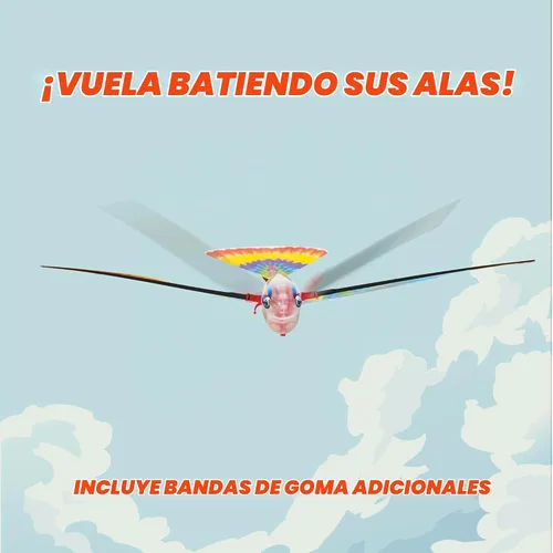 Vista 5 de Tim Bird