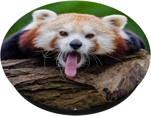 Vista 2 de Panda rojo lindo bostezando cara con lengua fuera popsocket agarre y soporte para teléfonos y tabletas, Negro
