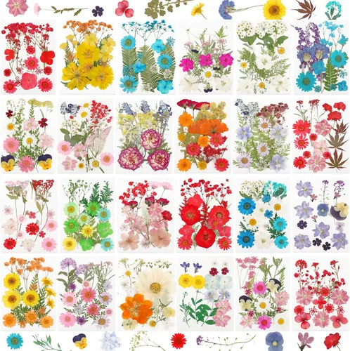 Vista 10 de Flores secas prensadas para resina, 103 piezas de flores secas naturales