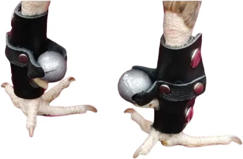 Vista 2 de Guantes con Pesa para Gallos