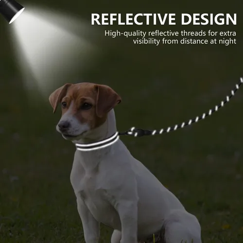 Vista 4 de Dynmeow - Juego de collar y correa reflectante para perro, correa de cuerda de escalada resistente de 6 pies con mango acolchado, collar ajustable