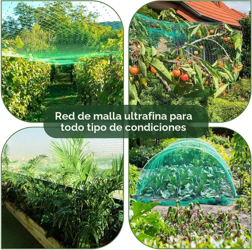 Vista 5 de Ruolan Red para pájaros para jardín, protege plantas vegetales y árboles frutales, 13 x 20 pies, red de plástico para pájaros, ciervos, ardillas