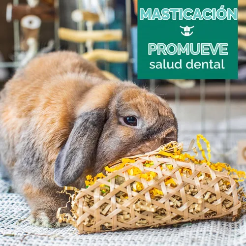 Vista 5 de Oxbow Timothy Hay Party Pack, Rabbit & Guinea Pig Toys, Bunny Enrichment