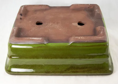 Vista 4 de Maceta rectangular verde musgo bonsái, cactus, suculenta 10 x 8 x 3.25 bandeja de malla