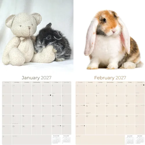 Vista 244 de Calendario de grises africanos 2025 2026 – Planificador mensual de pared de aves africanas – 12 x 18 pulgadas (abierto), calendario de pared