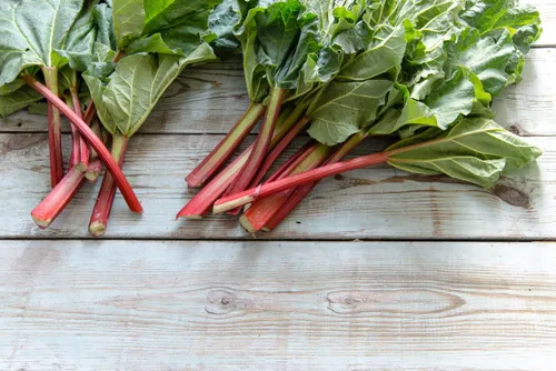 Vista 5 de Semillas Ruibarbo 35 Días Jardín Rojo Heirloom Vegetal NO OGM