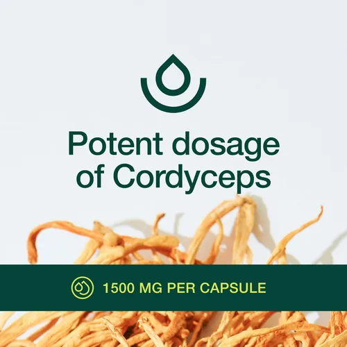 Vista 5 de Cápsulas Cordyceps orgánicas (extracto de hongo Cordyceps Sinensis) - 1500 mg por porción - Apoyo de energía y resistencia - Rico en alfa glucano