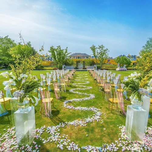 Vista 4 de 1000 pétalos de rosa de seda artificial, para decoración de bodas, fiestas