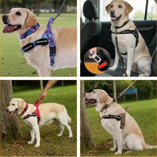 Vista 6 de Annchwool Arnés para perro sin tirones, juego de collar y correa reflectante resistente - Correa para perro con doble asa y clip de cinturón