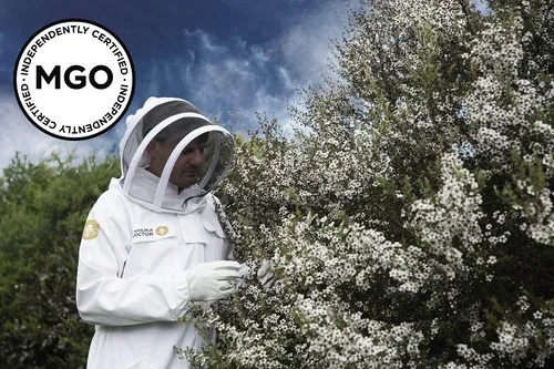 Vista 8 de MANUKA DOCTOR - Paquete monofloral de miel de Manuka UMF8/MGO 182+ SQUEEZY y MGO 525+, miel de Nueva Zelanda 100% pura. Certificado. Garantizado.