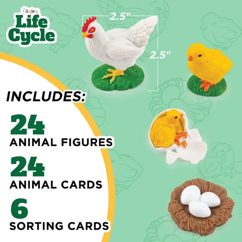 Vista 2 de Kit de animales de ciclo de vida, juguete de ciencia Montessori con juego de 24 piezas, mariposa, rana, pollo, abeja, mariquita y tortuga, regalo