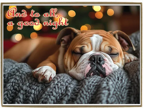 Vista 18 de Glory To Dog And To All A Good Night Sleepy Beagle Puppy - Juego de 12 tarjetas y sobres de Navidad