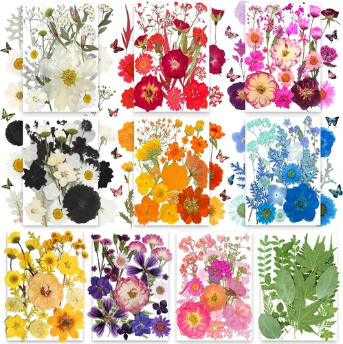 Vista 11 de 84Pcs Real Natural Dried Pressed Flowers & Green Leaves for DIY Crafts, Resin, Scrapbooking, Frame Decor + 4 Packs + Tweezers