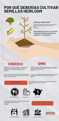 Vista 2 de 100 Semillas de Verduras Heirloom Surtidas 100% Sin GMO (100, Semillas de Verduras Surtidas Deluxe)