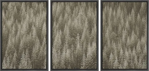 Vista 44 de SIGNWIN Lienzo enmarcado para pared, juego de decoración de guardería de bosques, niebla y niebla sobre bosque de montaña oscura, naturaleza, arte