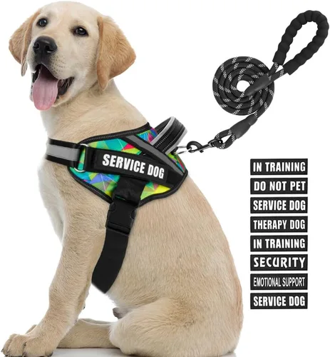 Vista 20 de Juego de Chaleco y Correa para Perro de Servicio, Arnés de Entrenamiento Animire para Perro con 10 Parches para Perros, Correa Reflectante
