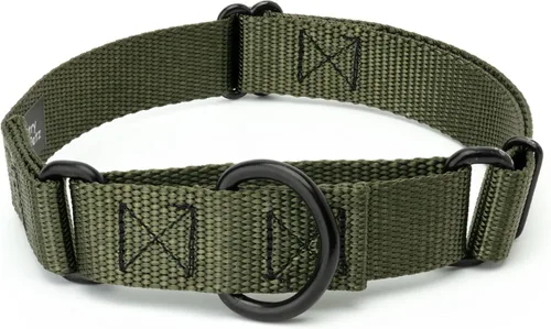 Vista 25 de Country Brook Petz - Collar Martingale para perro - Collar de entrenamiento resistente sin hebilla - Collar para perro de servicio para todas