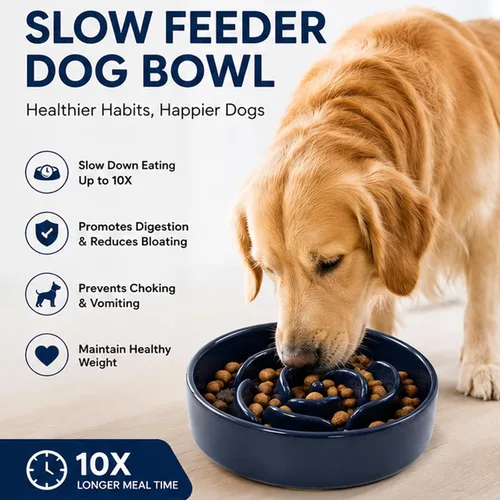 Vista 2 de Cuencos para perros de alimentación lenta para razas pequeñas Azul