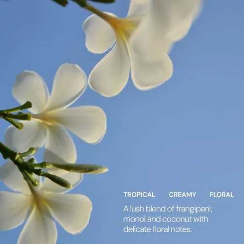 Vista 4 de ELEMIS Frangipani Monoi aceite para cuerpo - El cabello, uñas y aceite corporal