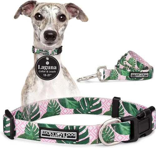 Vista 83 de Lucky Love Dog - Collar para perras pequeñas, diseño Blackbird de estampado alegre con flores de primavera y verano, talla XS Collar Blackbird