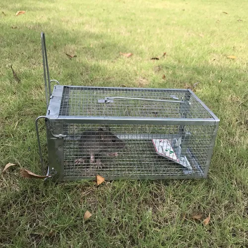 Vista 5 de Kensizer Paquete de 2 trampas para jaula animal, humana, que funciona para ratones, ratones, ardillas, ratones, ratones, ratones, hámsteres y otros