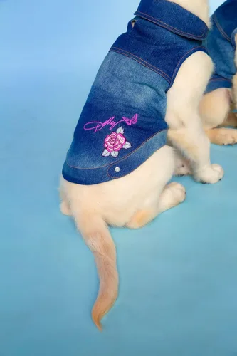 Vista 2 de Dolly Doggy Parton - Chaqueta de mezclilla azul con cuello para perros, ropa para perros