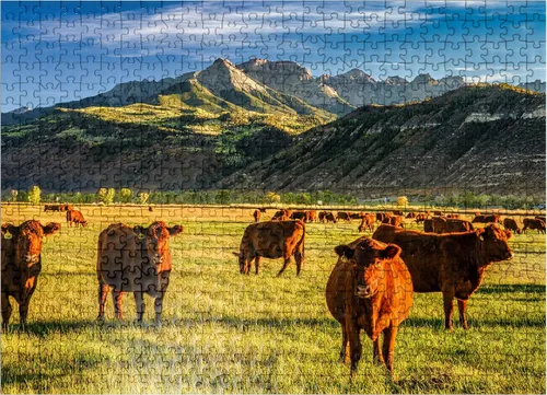 Vista 7 de MyPuzzle Fall On A Colorado Cattle Ranch Near Ridgway - Rompecabezas prémium de 100 piezas para adultos