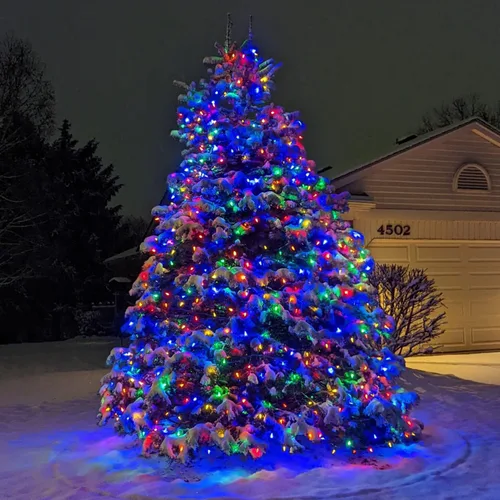 Vista 6 de HUGSVIK - Cadena de luces solares de Navidad de 39 pies, 100 LED, 8 modos, luces C6 de fresa, luces impermeables para exterior, para árbol