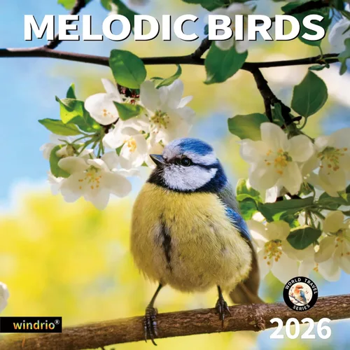 Vista 11 de Calendario de pared 2026, Calendario divertido 2026, noviembre de 2025 - diciembre de 2026, calendario de pared con memes divertidos de animales, 12